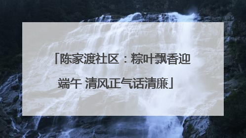 陈家渡社区：粽叶飘香迎端午 清风正气话清廉